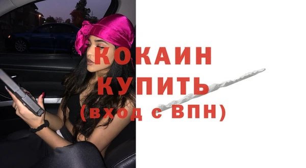 спайс Инта