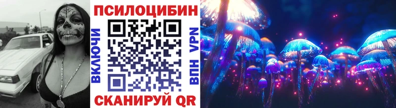 OMG зеркало  купить наркоту  Ершов  Псилоцибиновые грибы Cubensis 